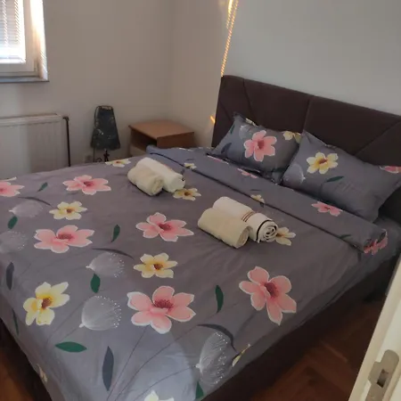 Apartament Alex Voždivac